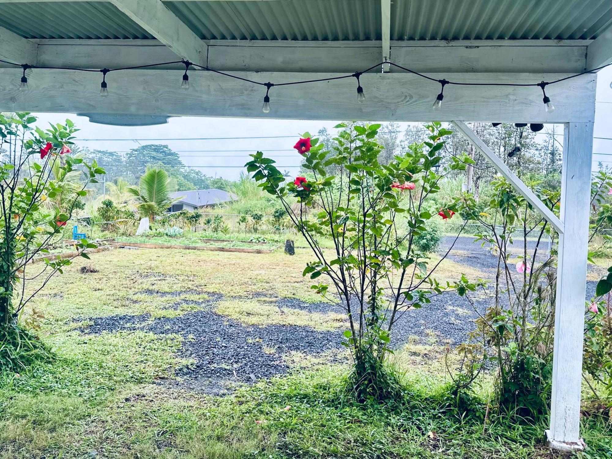 Kope Hale Farm House Near Hilo & Volcano National Park Pahoa Eksteriør bilde